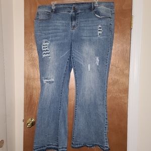 Maurices Blue Distressed Boot Cut Jeans